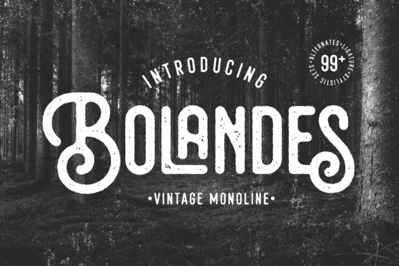 Bolandes: Where Vintage Charm Meets Modern Branding